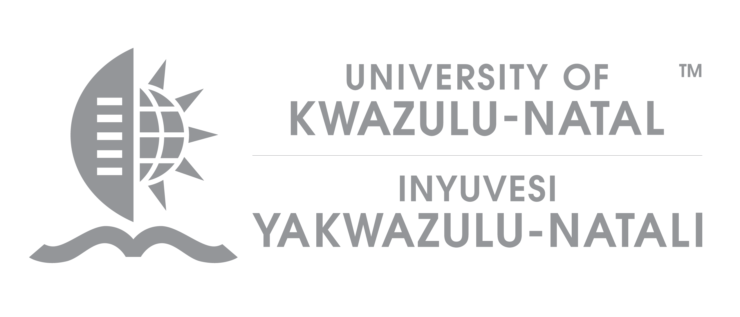 BCom in Information Systems